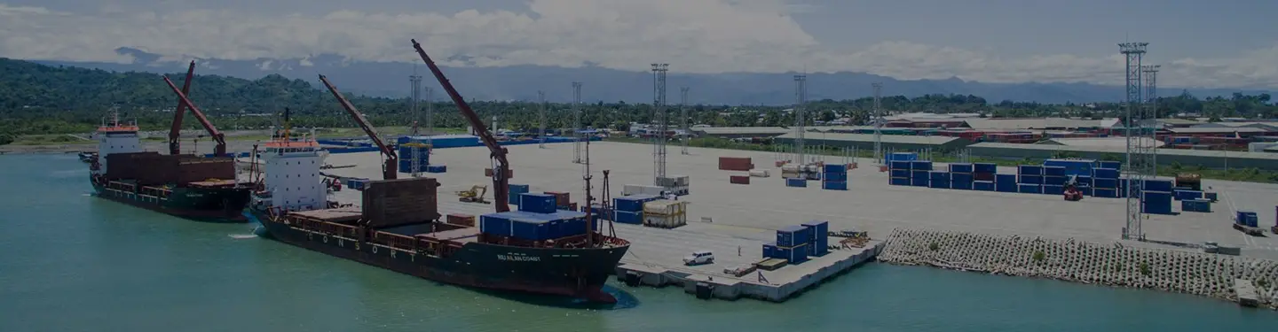 Cargo vessels and port facilities pictured on Consort’s company website; port location not specified.