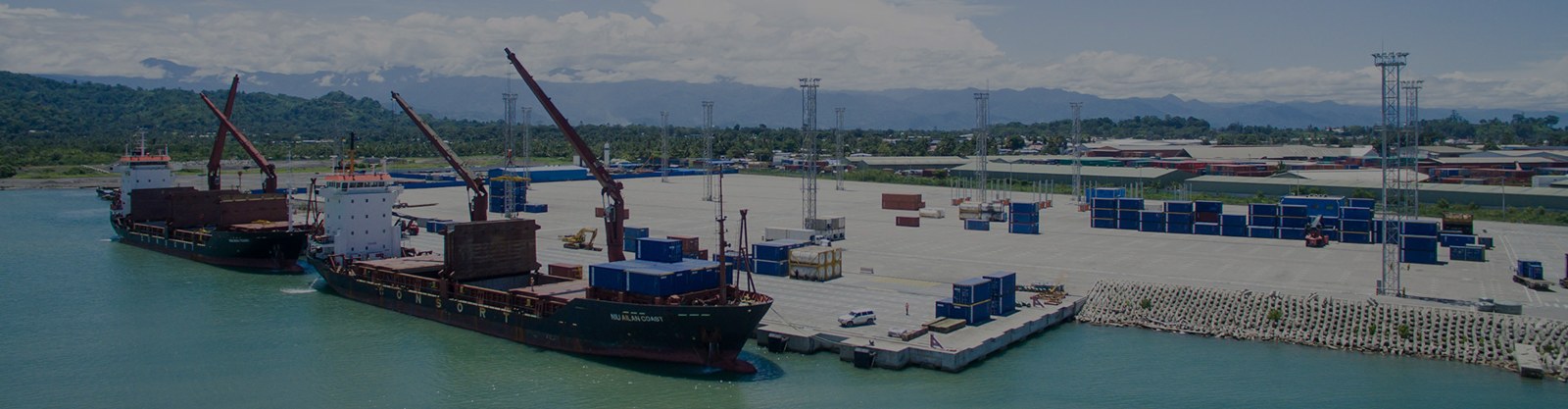 Cargo vessels and port facilities pictured on Consort’s company website; port location not specified.