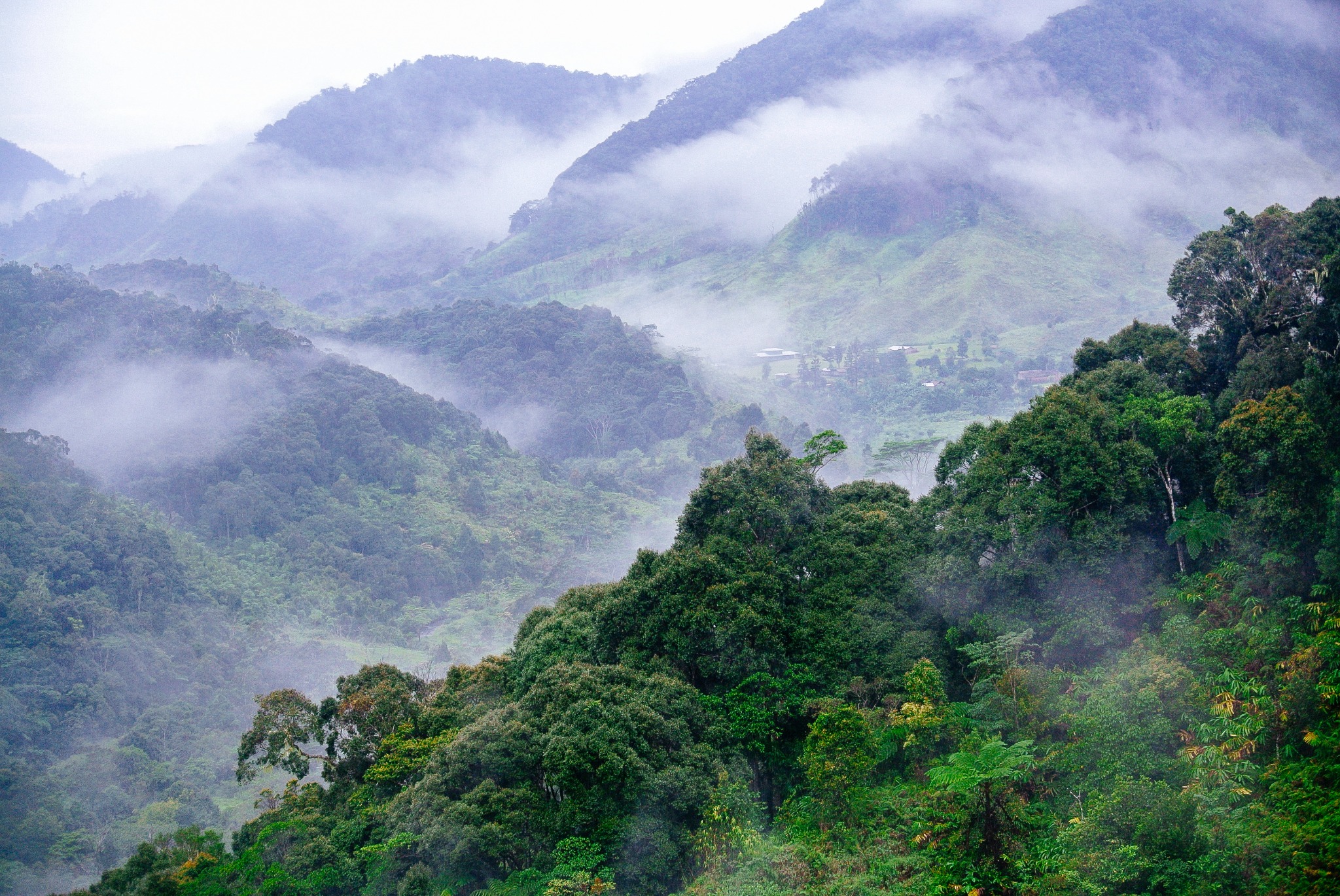 Mist drifting across forested slopes and a highland settlement in the Agaun and Daga area of Milne Bay.