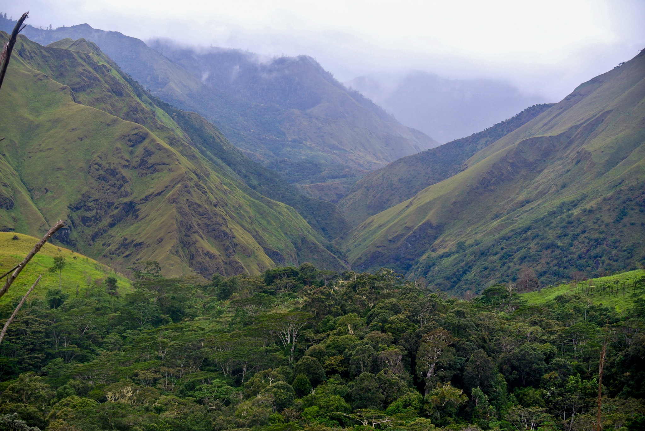 Steep green mountain slopes above a forested valley, with cloud covering the distant ridges in the Milne Bay Highlands.