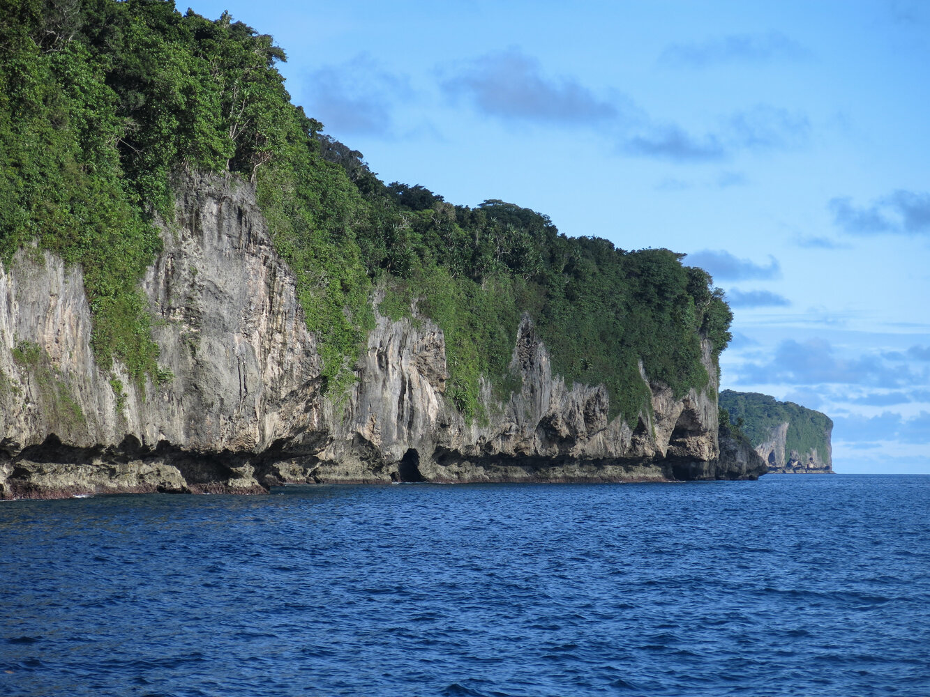 Raised coral limestone cliffs on Misima Island above the sea