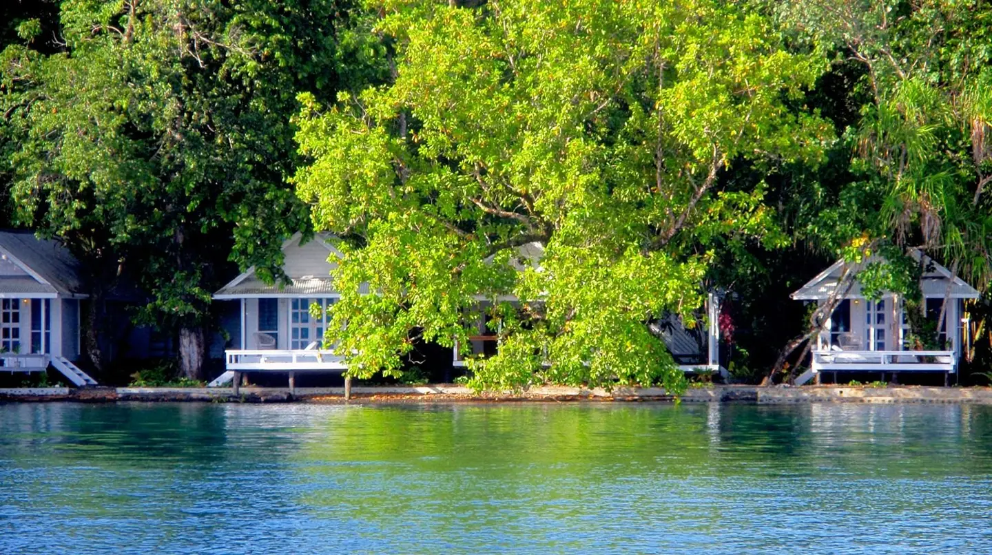 Driftwood Resort photograph from the operator’s gallery.