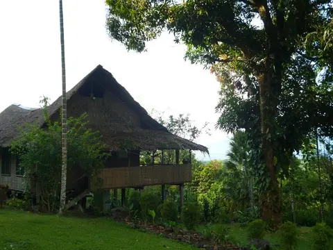 Elevated Ulumani Treetops Rainforest Lodge among the trees